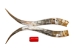 Pair of Polished Steer Horns: 30" to 32": Assorted - 304-P3032-AS (Y3HRH)