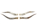 Pair of Polished Steer Horns: 30" to 32": Assorted - 304-P3032-AS (Y3HRH)