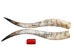 Pair of Polished Steer Horns: 32" to 34": Assorted - 304-P3234-AS (Y3HRH)