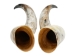 Pair of Polished Steer Horns: 32" to 34": Assorted - 304-P3234-AS (Y3HRH)