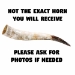 Polished Steer Horn: 22" to 24": Assorted - 304-S2224-AS (Y3HRH)
