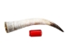 Polished Steer Horn: 22" to 24": Assorted - 304-S2224-AS (Y3HRH)