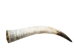 Polished Steer Horn: 22" to 24": Assorted - 304-S2224-AS (Y3HRH)