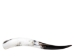 Polished Steer Horn: 24" to 26": Assorted - 304-S2426-AS (Y3HRN)