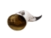 Polished Steer Horn: 24" to 26": Assorted - 304-S2426-AS (Y3HRN)