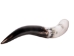 Polished Steer Horn: 24" to 26": Assorted - 304-S2426-AS (Y3HRN)