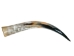 Polished Steer Horn: 26" to 28": Assorted - 304-S2628-AS (Y3HRK)
