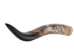Polished Steer Horn: 26" to 28": Assorted - 304-S2628-AS (Y3HRK)