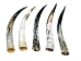 Polished Steer Horn: 26" to 28": Assorted - 304-S2628-AS (Y3HRK)