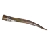 Polished Steer Horn: 28" to 30": Assorted - 304-S2830-AS (Y3HRK)