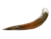 Polished Steer Horn: 30" to 32": Assorted - 304-S3032-AS (Y3HRK)