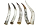 Polished Steer Horn: 30" to 32": Assorted - 304-S3032-AS (Y3HRK)
