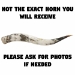 Polished Steer Horn: 32" to 34": Assorted - 304-S3234-AS (Y3HRK)
