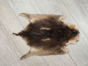 Muskrat Skin: Reject Grade 