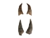 Brown Goat Horns: <4" - 318-1BRXS-AS (Y1XC13)