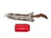 Canadian Red Pine Squirrel Skin: #3 - 32-10-3-AS (Y2KRA)
