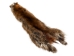 Canadian Red Pine Squirrel Skin: #1 with No Tail - 32-10-NT1-AS (Y2KRB)