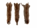 Canadian Red Pine Squirrel Skin: #1 with No Tail - 32-10-NT1-AS (Y2KRB)