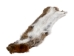 Canadian Red Pine Squirrel Skin: #2 with No Tail - 32-10-NT2-AS (Y2KRB)