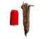 Canadian Red Pine Squirrel Skin: #3 with No Tail - 32-10-NT3-AS (Y2KRB)