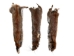 Canadian Red Pine Squirrel Skin: #3 with No Tail - 32-10-NT3-AS (Y2KRB)