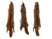 Canadian Red Pine Squirrel Skin: #1 with Short Tail - 32-10-ST1-AS (Y2KRA)