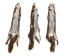 Canadian Red Pine Squirrel Skin: #1 with Short Tail - 32-10-ST1-AS (Y2KRA)