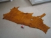 5-5.5 oz Tannery Run Buffalo Leather: Cork (sq ft) - 334-TR-CK5 (Y2K)