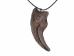 Albertosaurus Claw Pendant Necklace - 344-1 (Y2KC10)