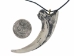 Deinonychus Claw Pendant Necklace - 344-3 (Y2KC09)