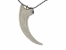 Deinonychus Claw Pendant Necklace - 344-3 (Y2KC09)