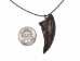 Gorgosaurus Claw Pendant Necklace - 344-4 (Y2KC09)