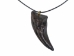 Gorgosaurus Claw Pendant Necklace - 344-4 (Y2KC09)