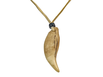 Realistic Iroquois Bear Tooth Necklace: 1-tooth: Assorted 