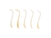 Raccoon Baculum: Large - 378-05L (Y2L)