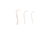 Raccoon Baculum: Small - 378-05S (Y2L)
