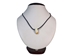 Alligator Tooth Necklace: No Beads - 381-30-3 (Y2J)