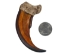 Realistic Large Grizzly Claw - 392-30 (Y1M)