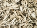 Loose White Sage (lb) - 483-WLB (Y1MC03)