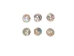 Australian Abalone Button: 16-Line (10.4mm or 0.4") - 495-16L (Y1MC19)