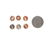 Australian Abalone Button: 16-Line (10.4mm or 0.4") - 495-16L (Y1MC19)