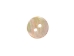 Australian Abalone Button: 16-Line (10.4mm or 0.4") - 495-16L (Y1MC19)