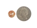Australian Abalone Button: 18-Line (11.4mm or 0.45&quot;) - 495-18L
