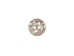 Australian Abalone Button: 24-Line (15.2mm or 0.6&quot;) - 495-24L