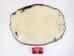 Beaver Skin: #1: Large: Assorted - 50-1-L-AS (Y1LRR)(Y2D)