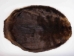 Beaver Skin:#1: X-Large: Assorted - 50-1-XL-AS (Y1LRP)