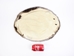 Beaver Skin:#1: X-Small: Assorted - 50-1-XS-AS