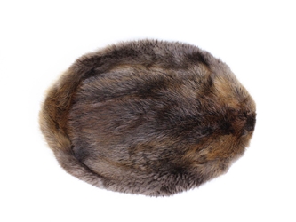 Beaver Skin:#1: X-Small: Assorted beaver skins, beaver hides, beaver pelts