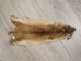 Ringtail Skin: Craft Grade - 512-CR-AS (Y1HRC)