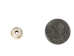 Etched Round Bone Bead: Style C: ~0.5" (100 pcs) - 520-C-C (Y2D)